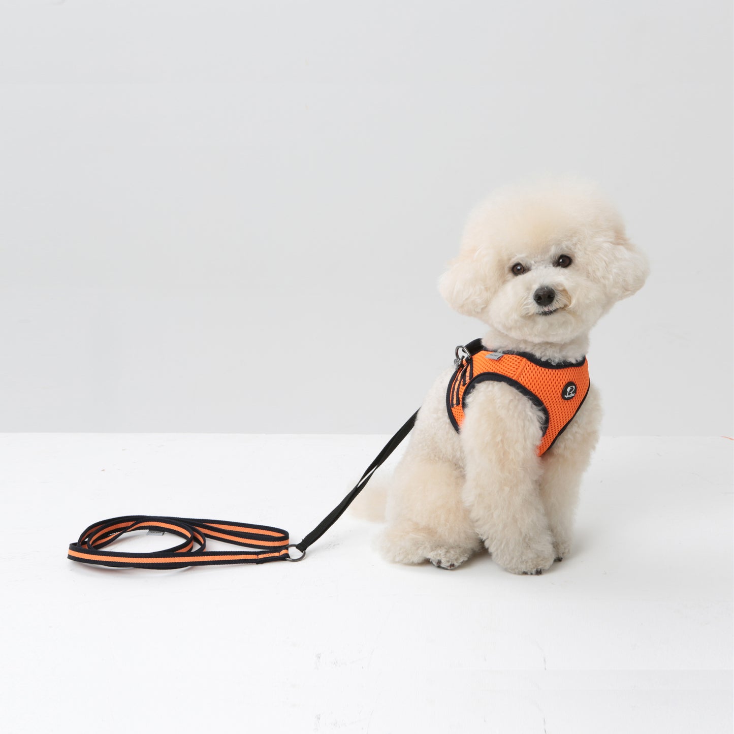 Dog Strong Vest Harness and Lead Set