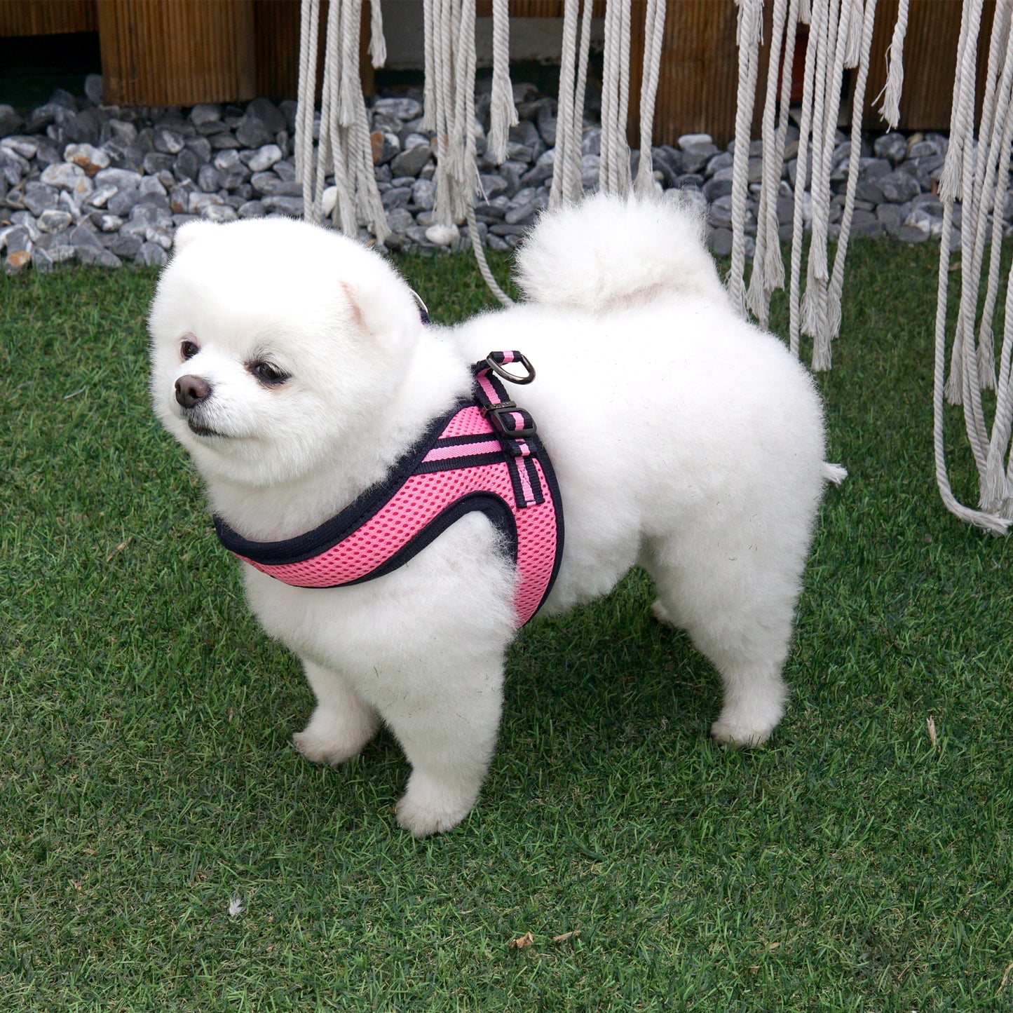 SIMPLY CONTROL HARNESS