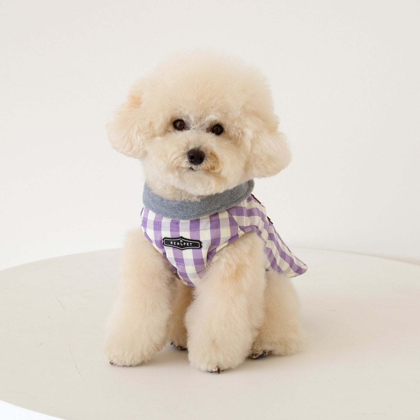 CHECK HARNESS JUMPER