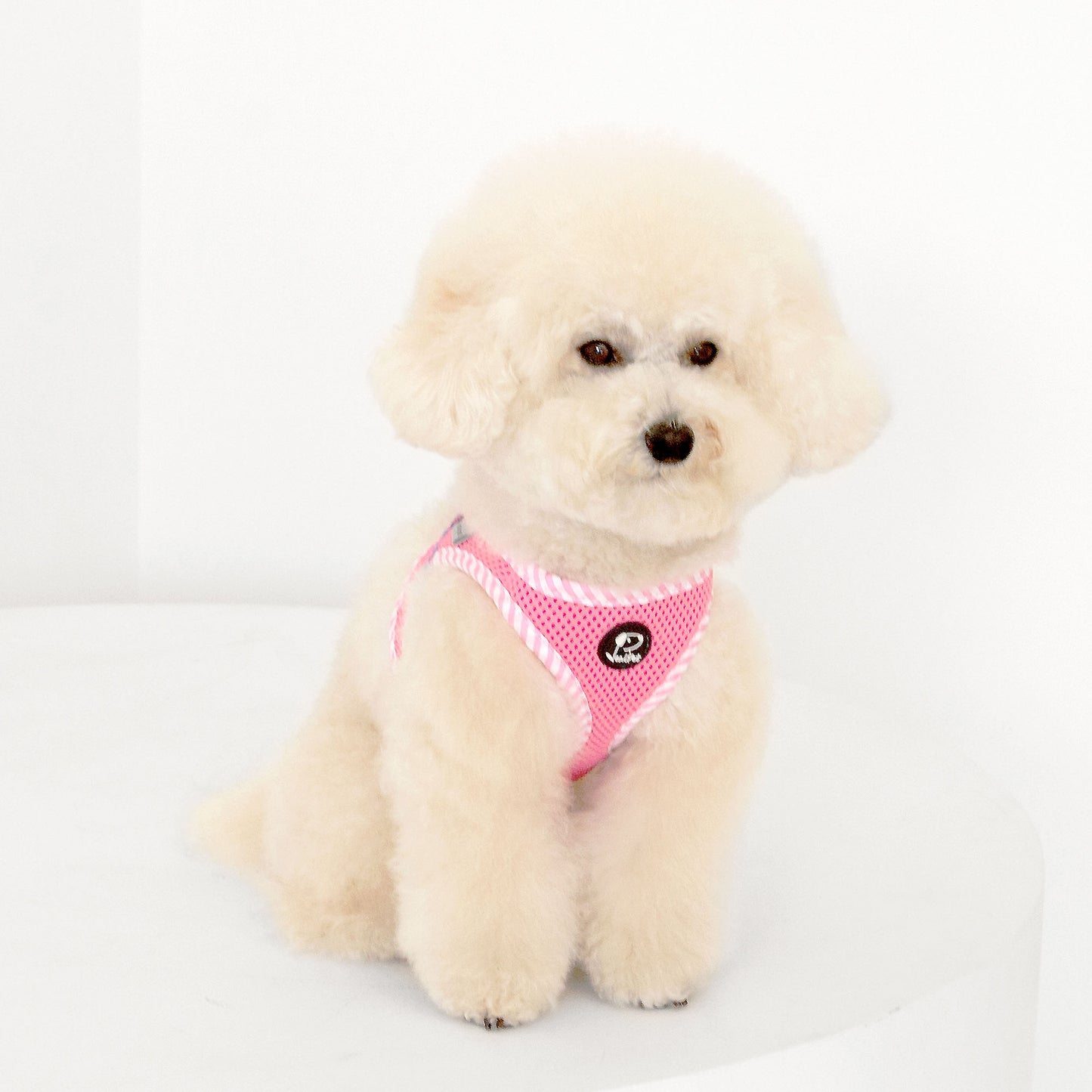 CHECK SLIM HARNESS