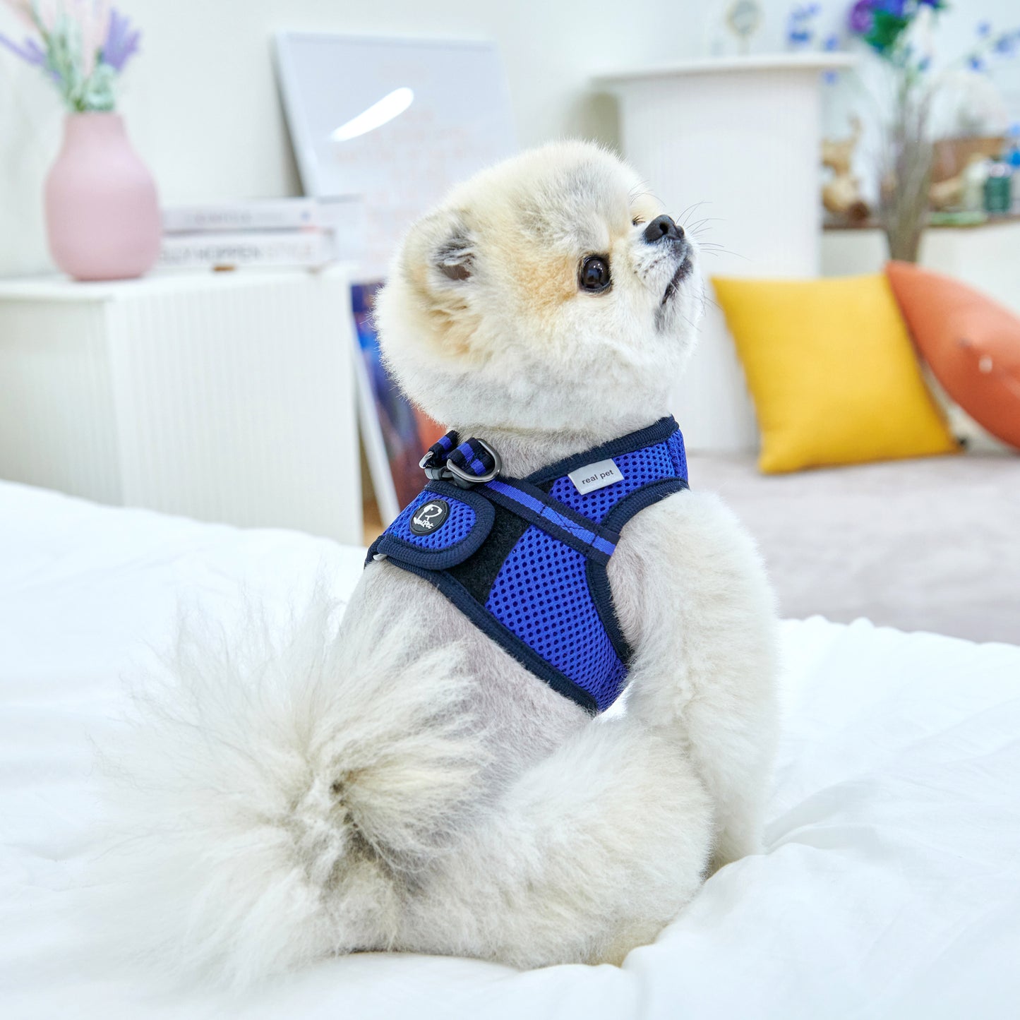 FREE SAFE HARNESS