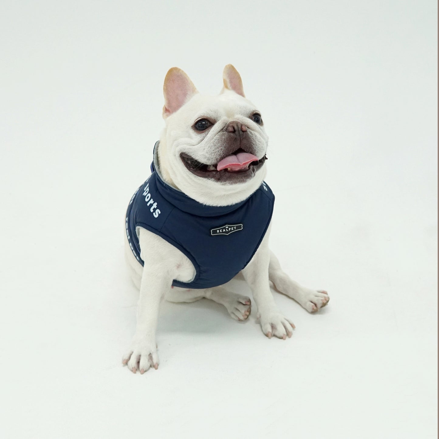 SPORT SHORT PADDING HARNESS