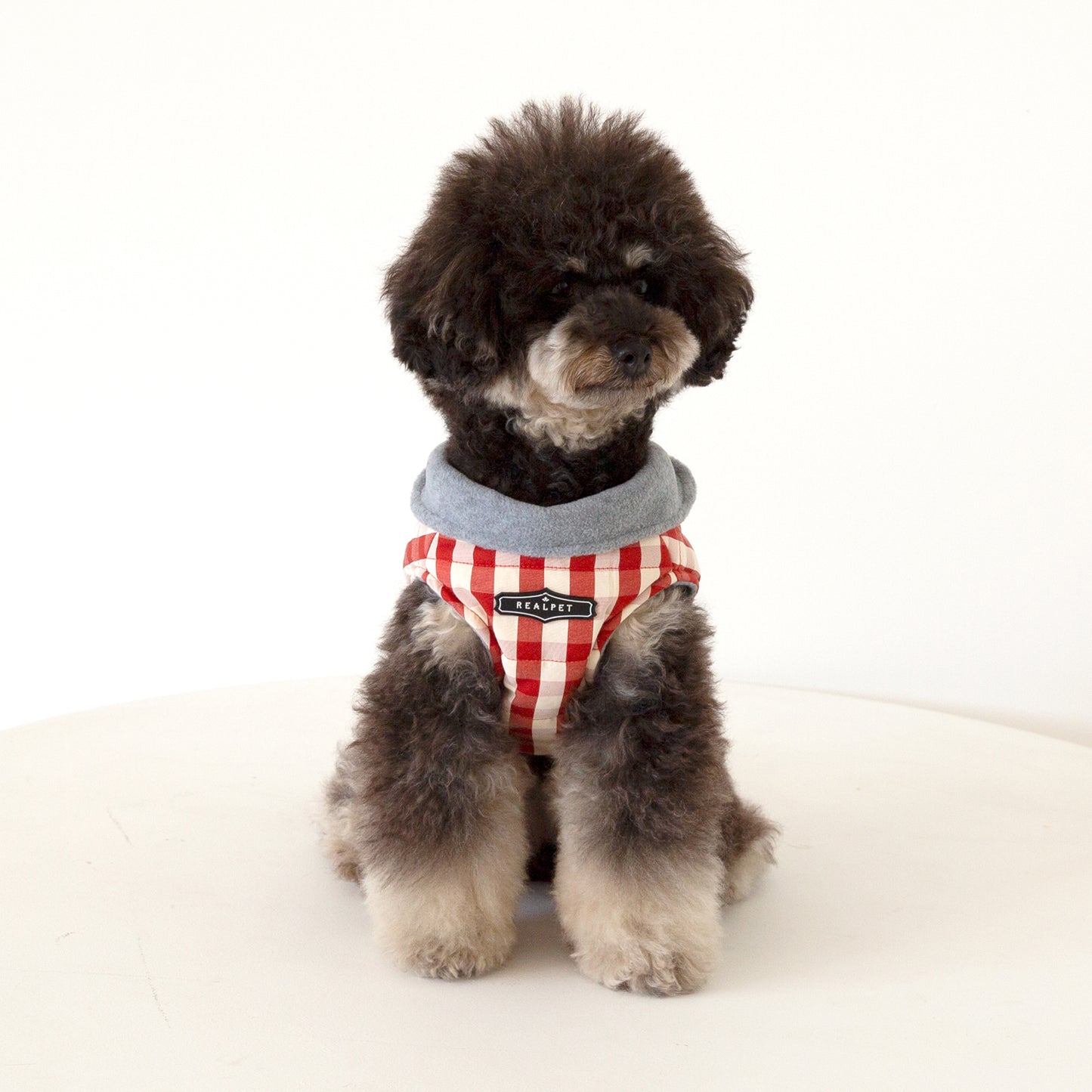 CHECK HARNESS JUMPER