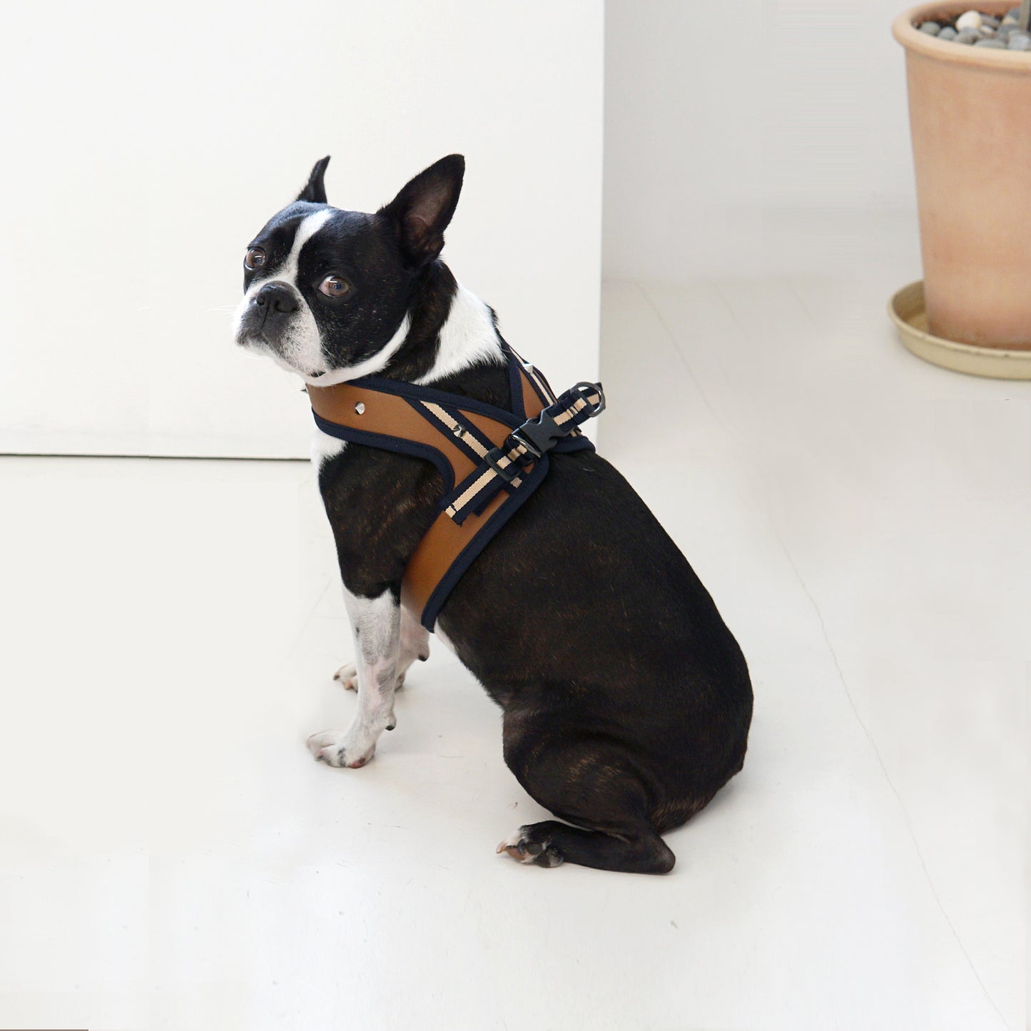 STUD HARNESS