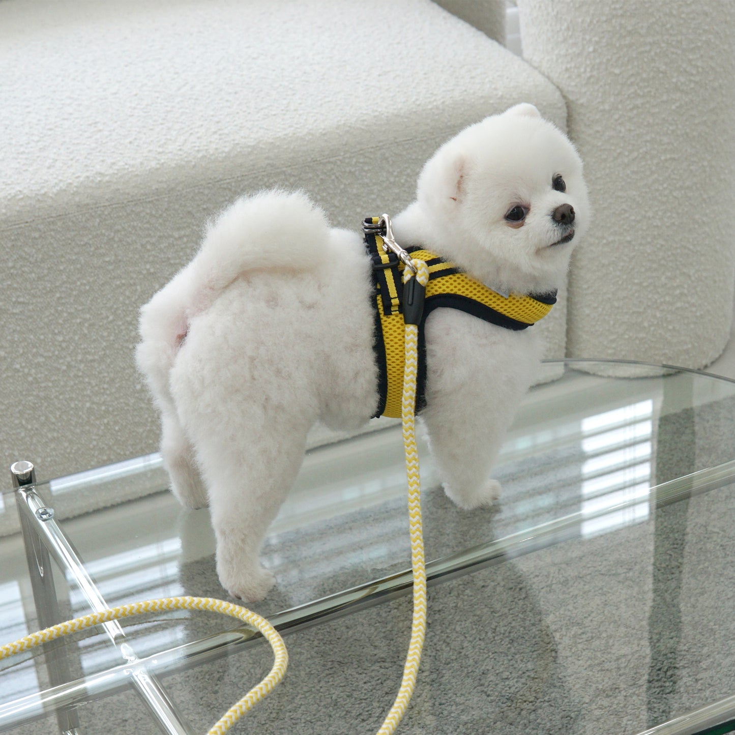 SIMPLY CONTROL HARNESS