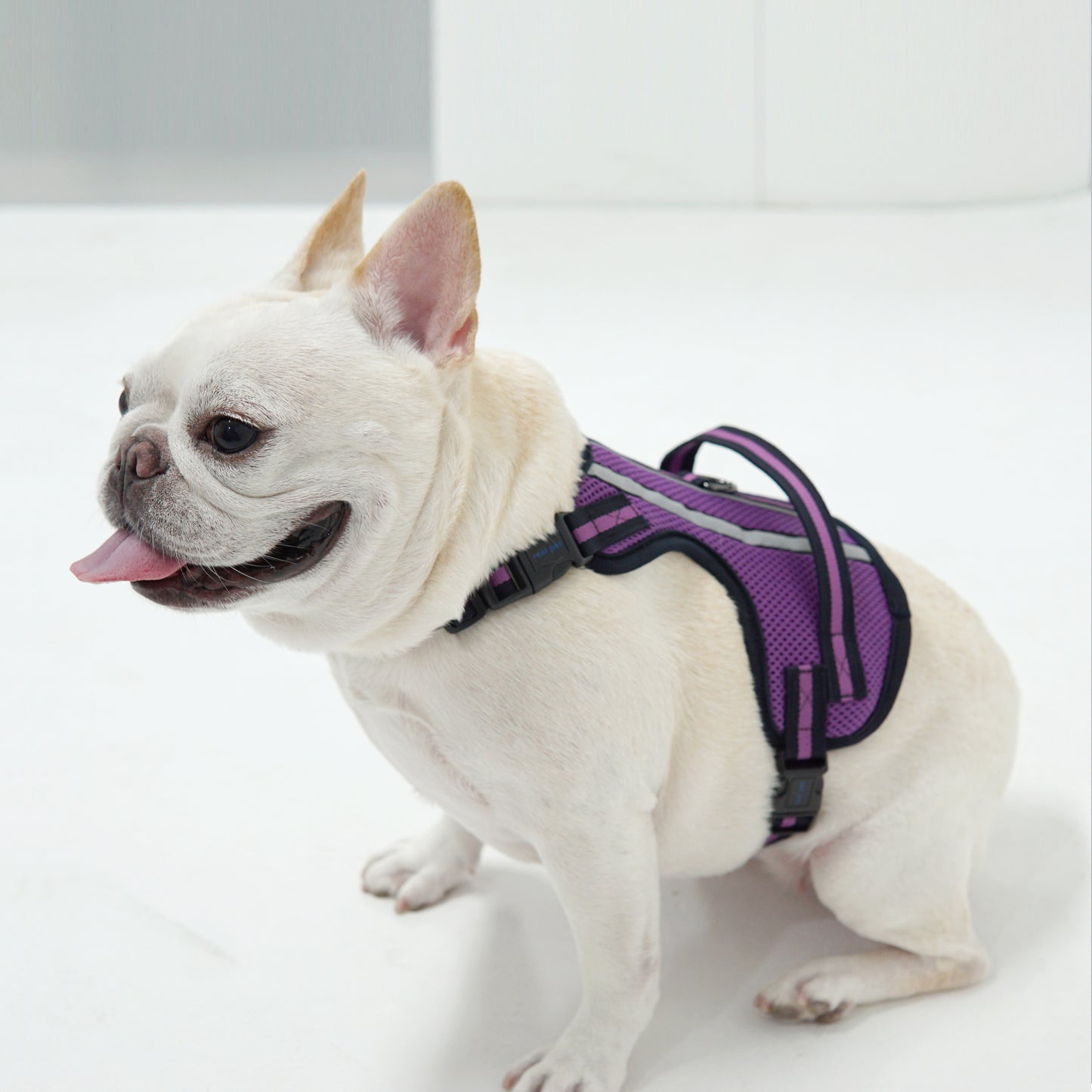 SUPPORT 3M HARNESS