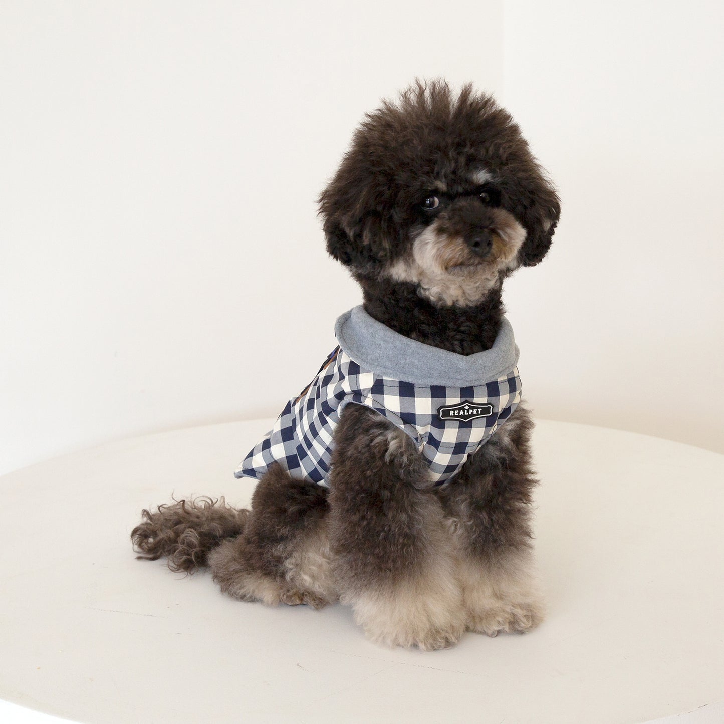 CHECK HARNESS JUMPER