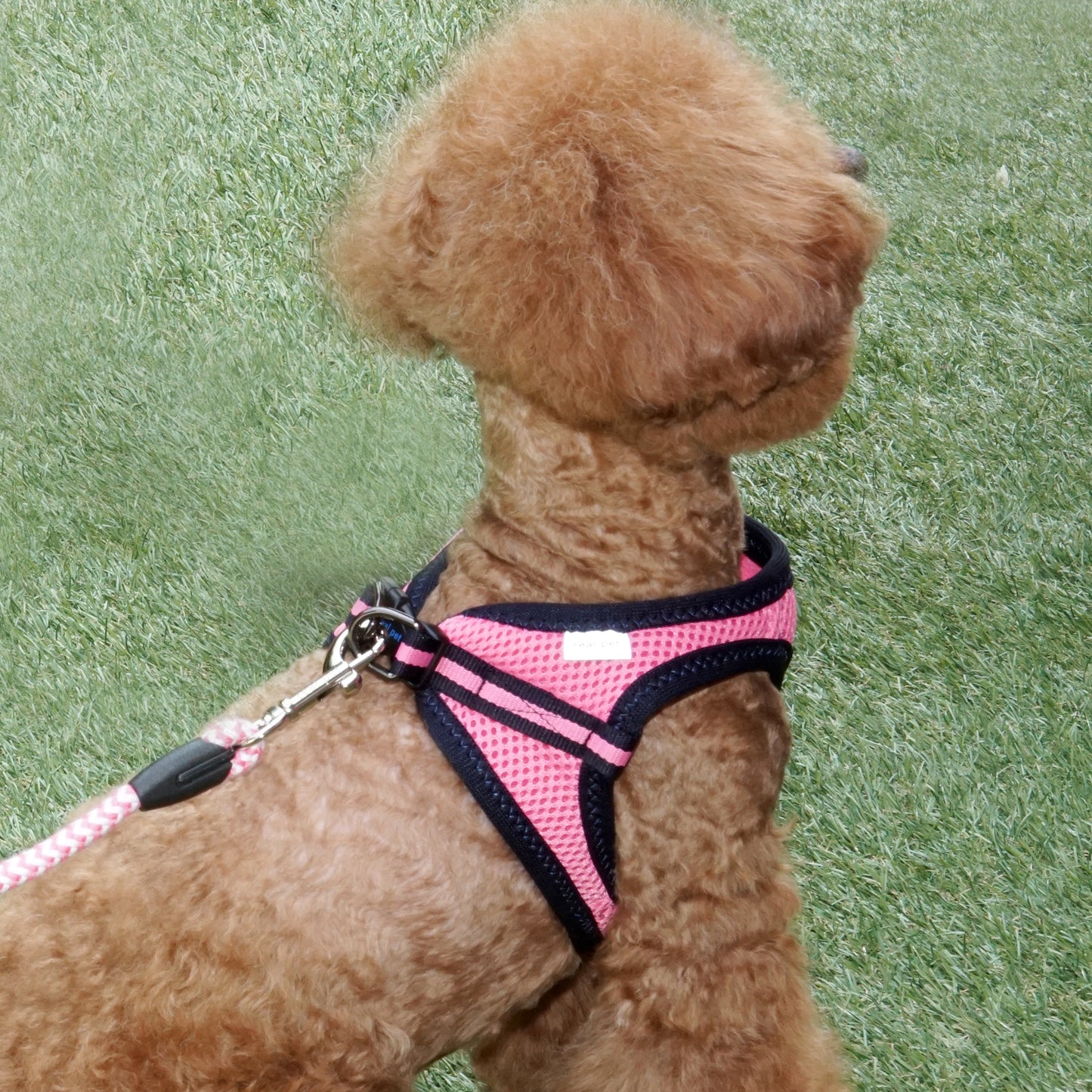 FOUR-SEASON SLIM VEST HARNESS