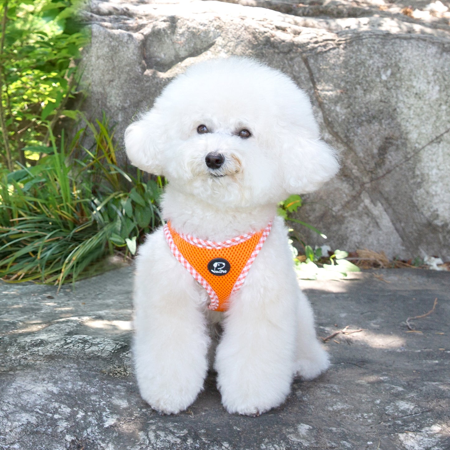 CHECK SLIM HARNESS