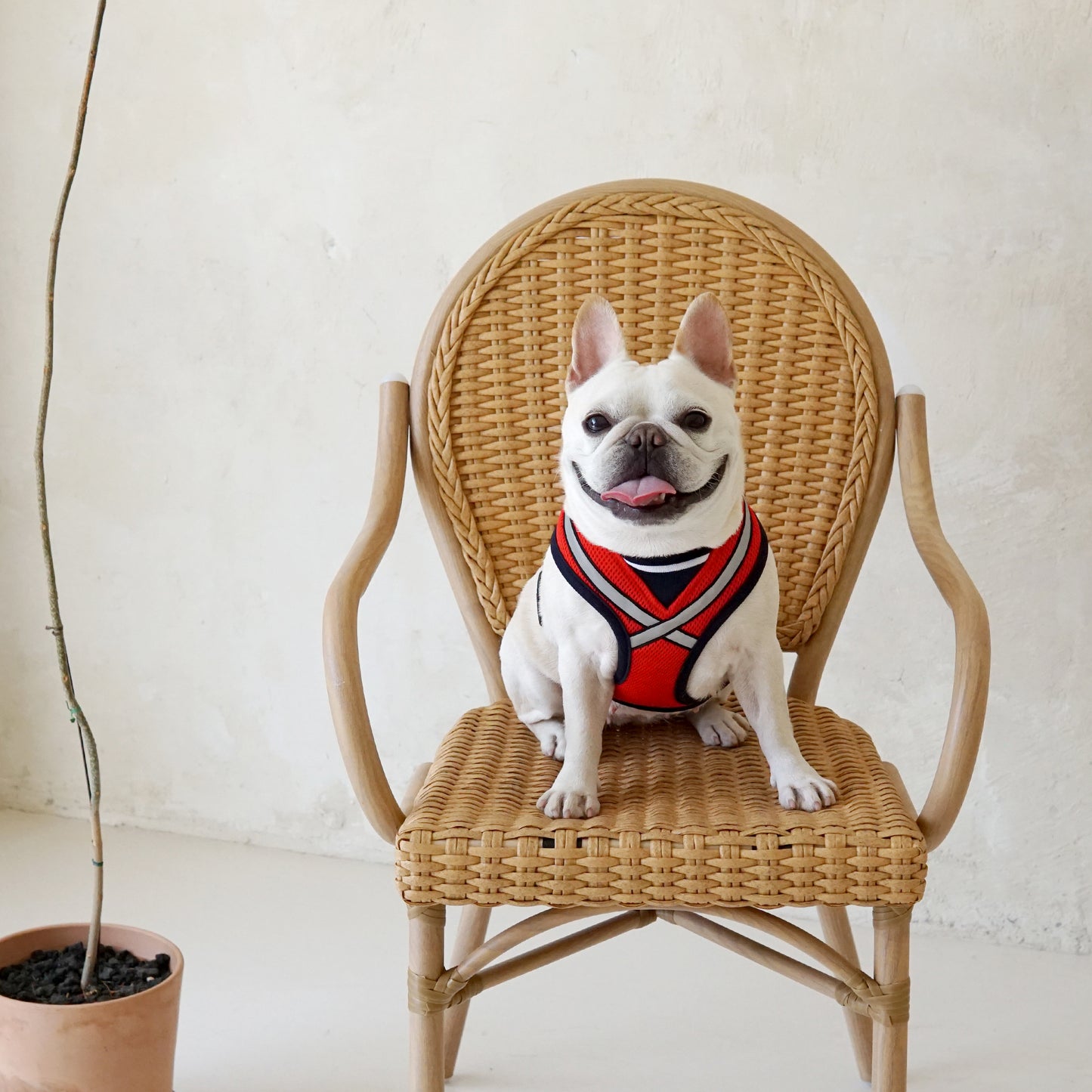 STRETCH 3M HARNESS