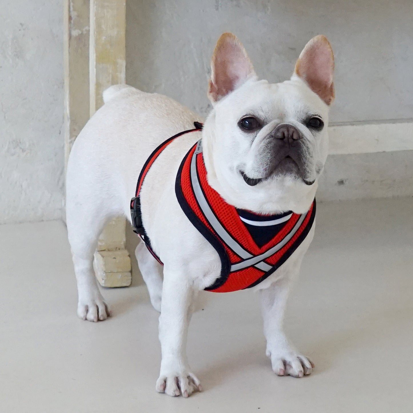 STRETCH 3M HARNESS