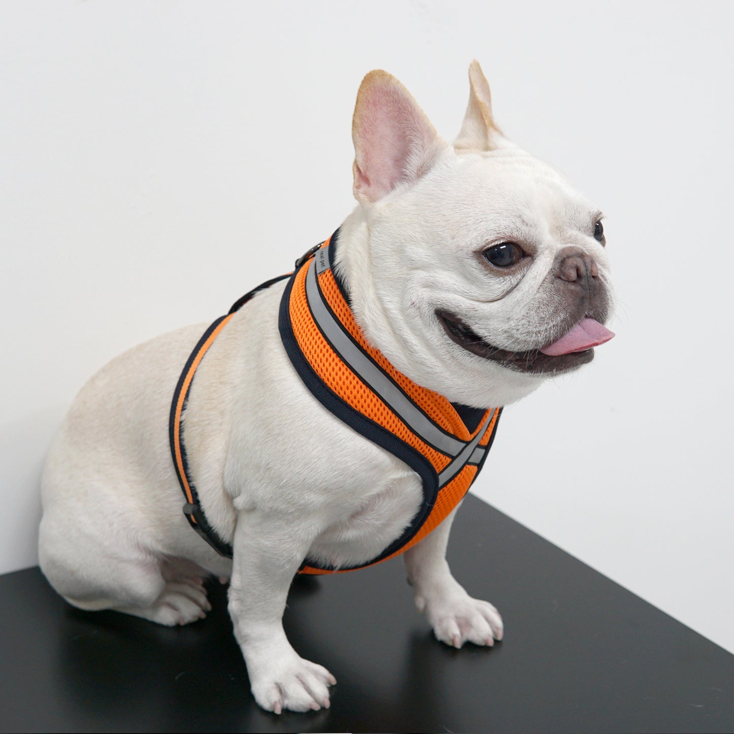 STRETCH 3M HARNESS