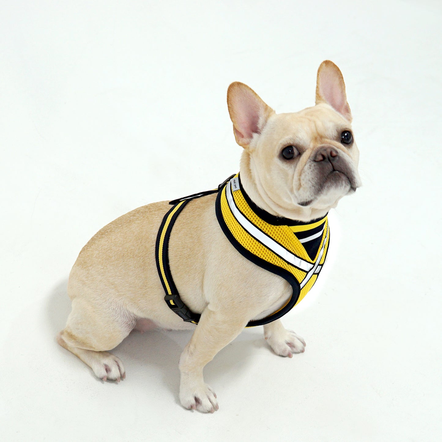 STRETCH 3M HARNESS