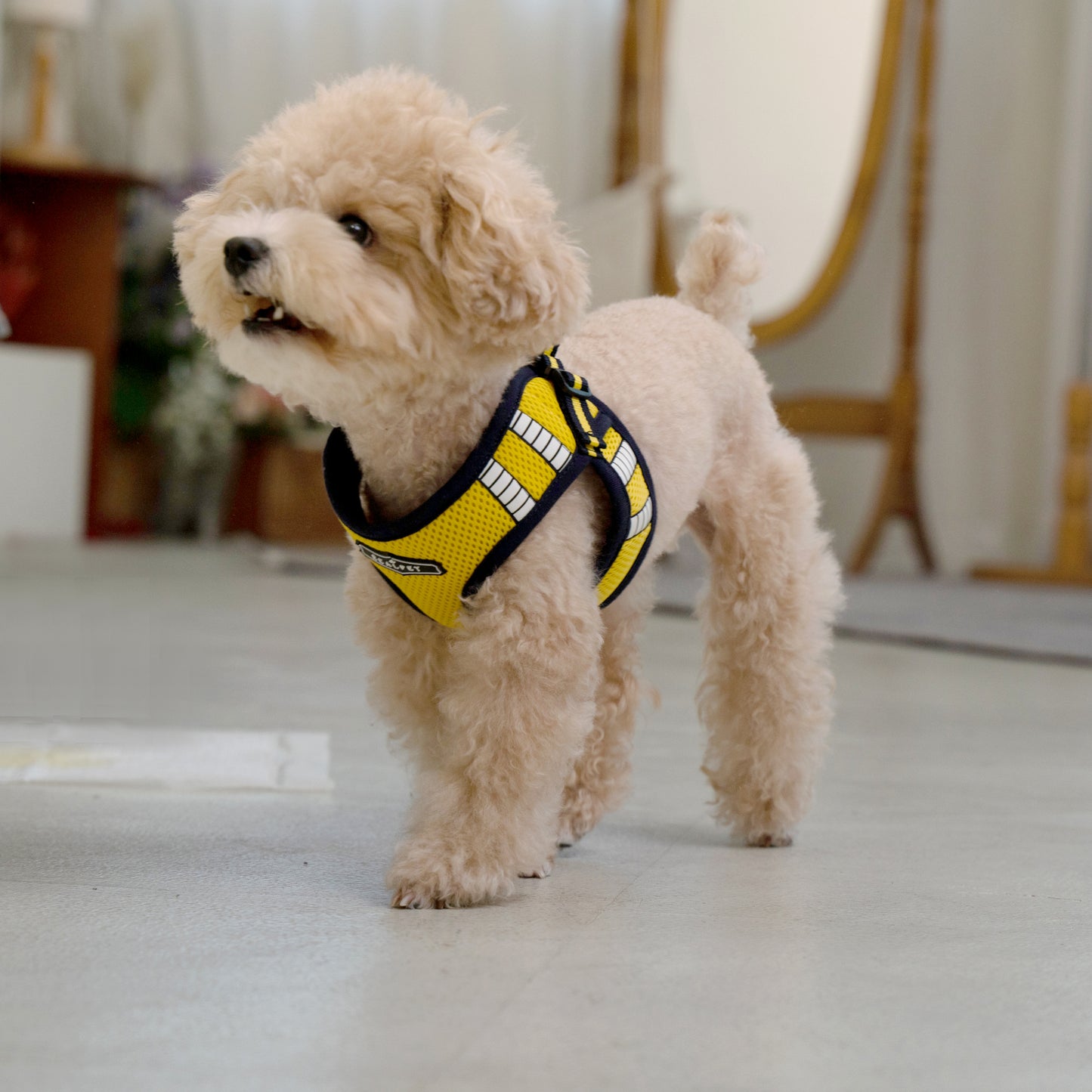SAFE GLOW HARNESS
