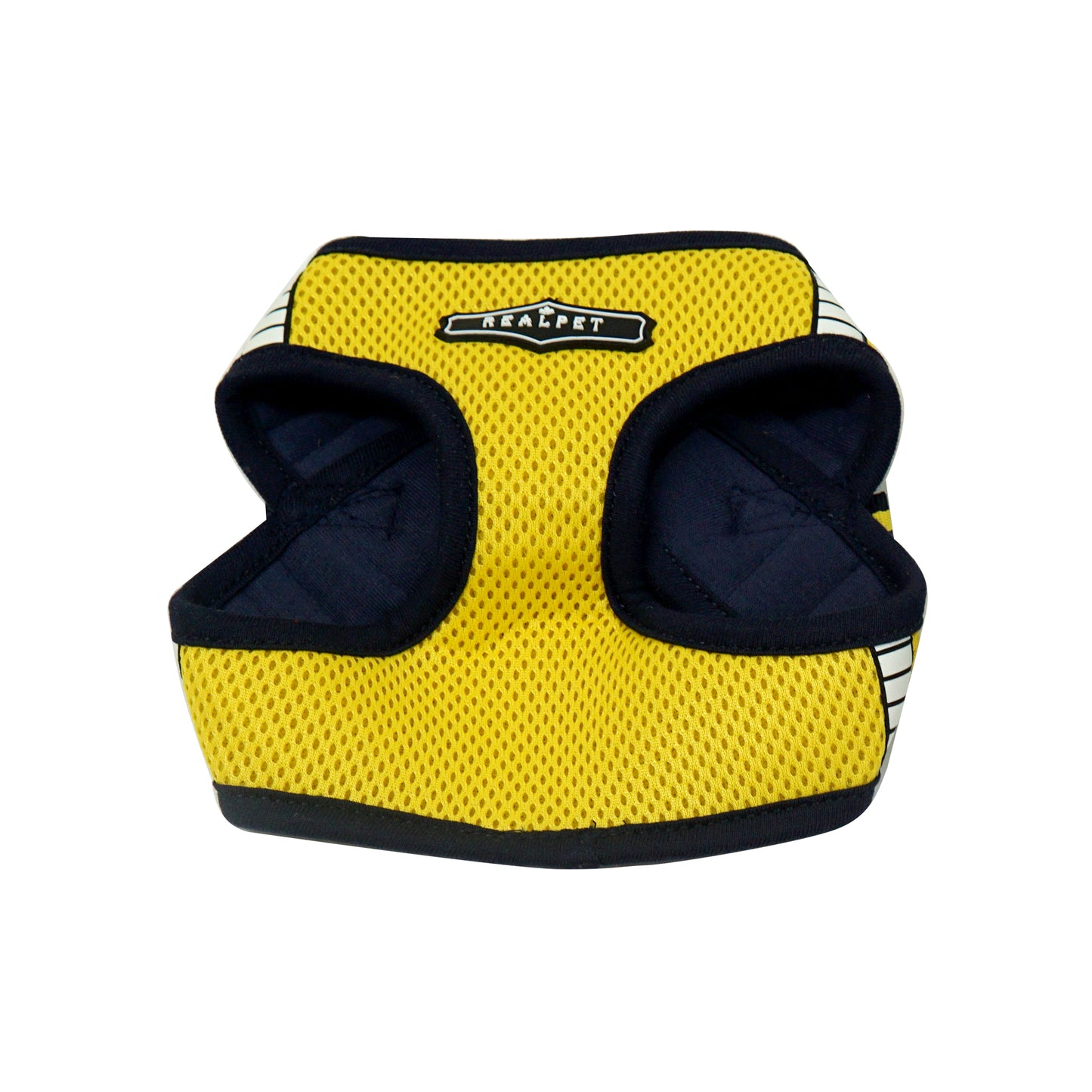 SAFE GLOW HARNESS