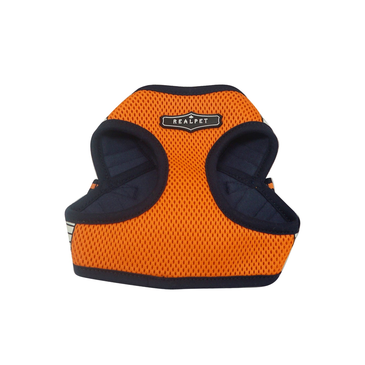 SAFE GLOW HARNESS