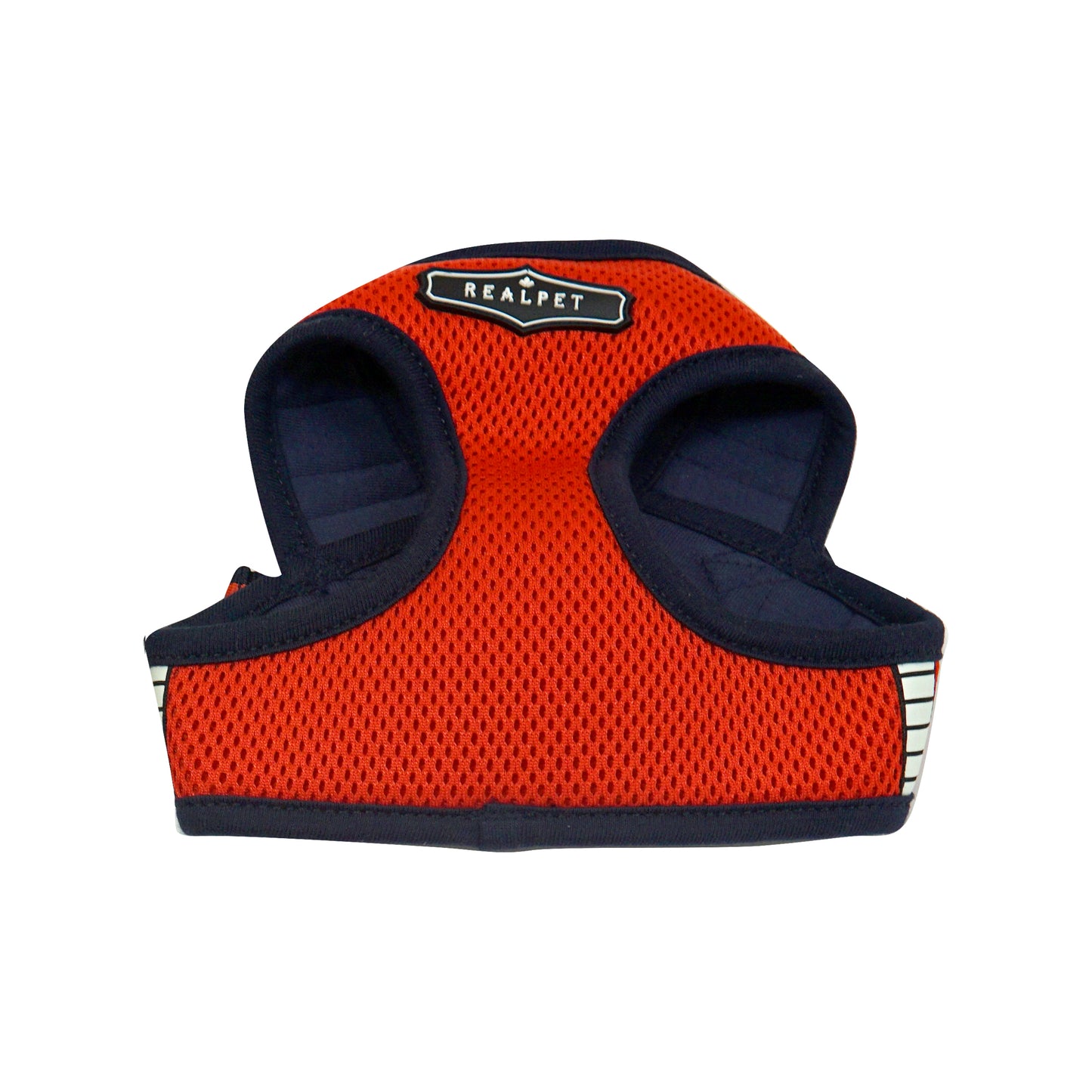SAFE GLOW HARNESS