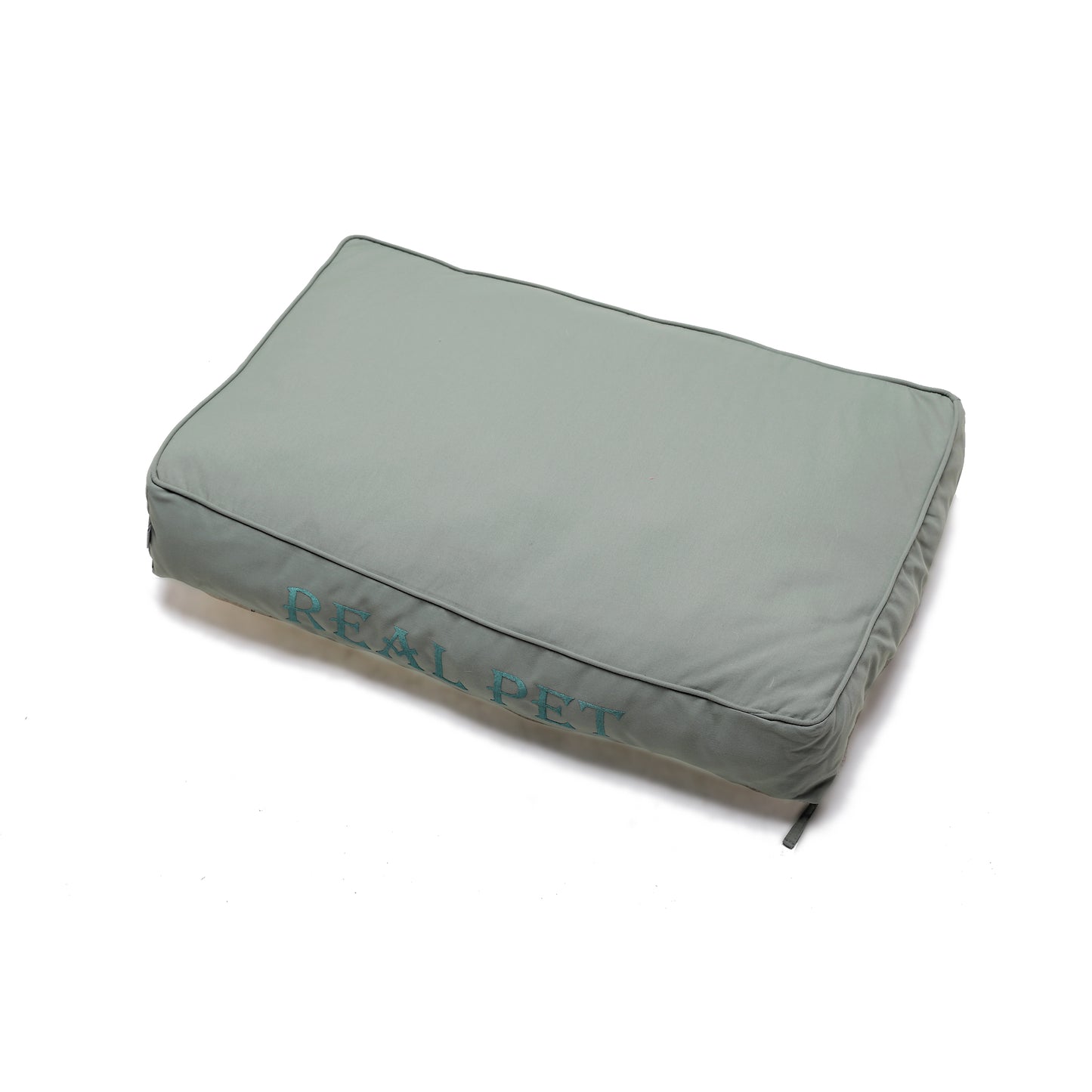 MODERN CUSHION