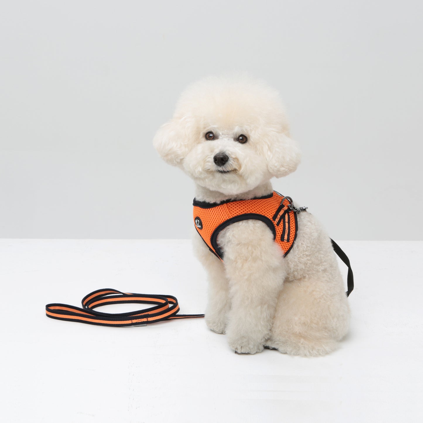 Dog Strong Vest Harness and Lead Set