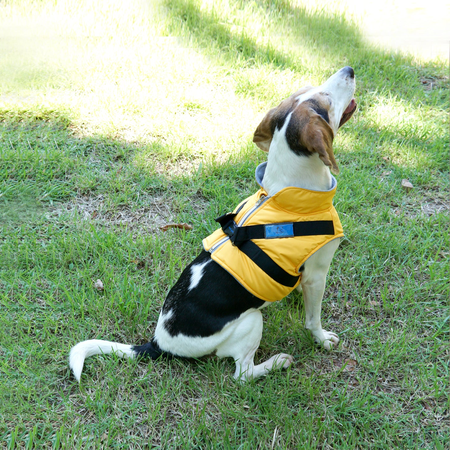 LARGE DOG PADDING HARNESS