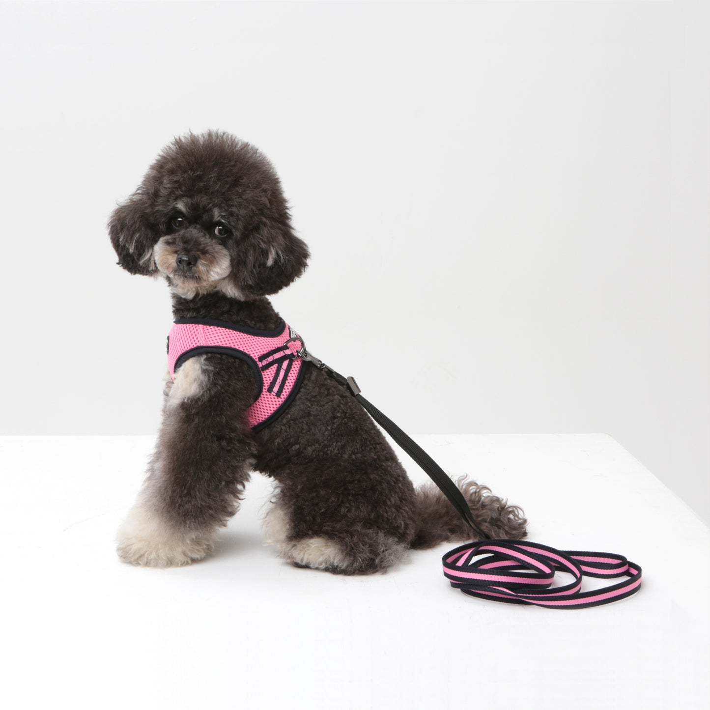 Dog Strong Vest Harness and Lead Set