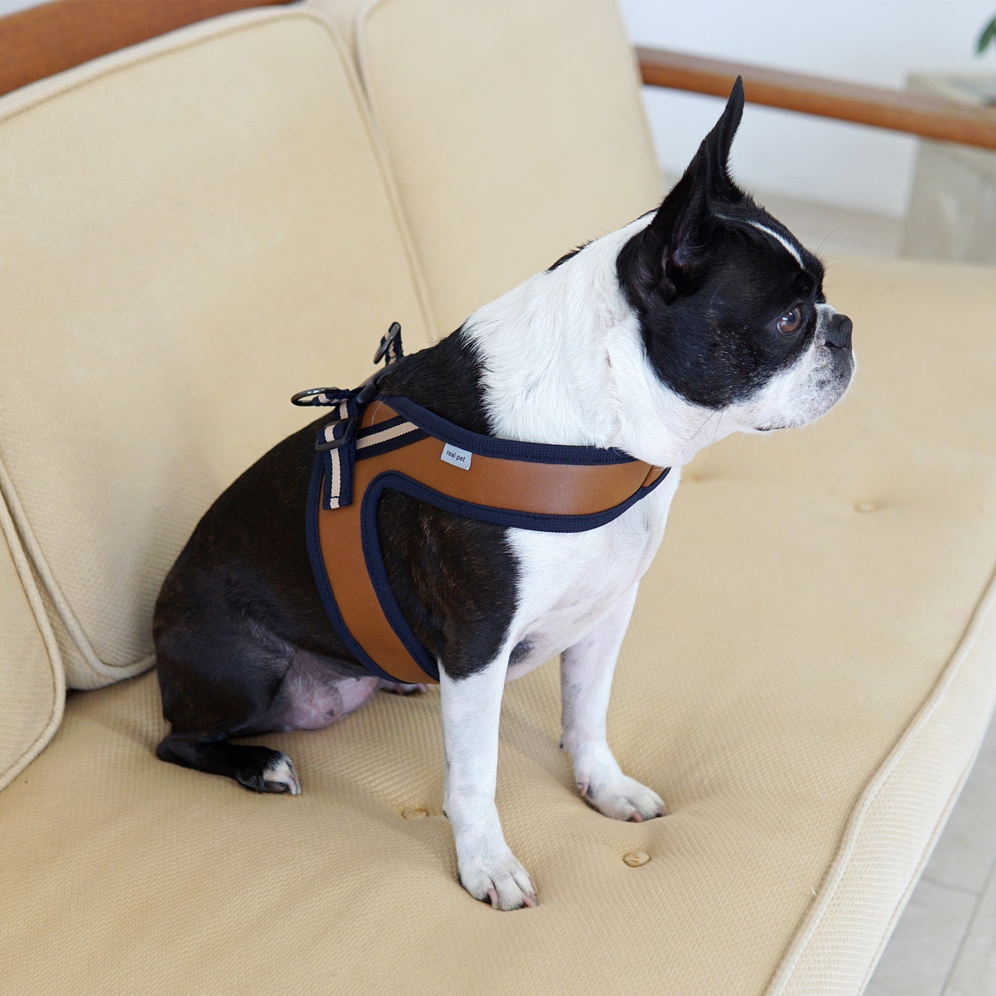 BOLD LEATHER HARNESS