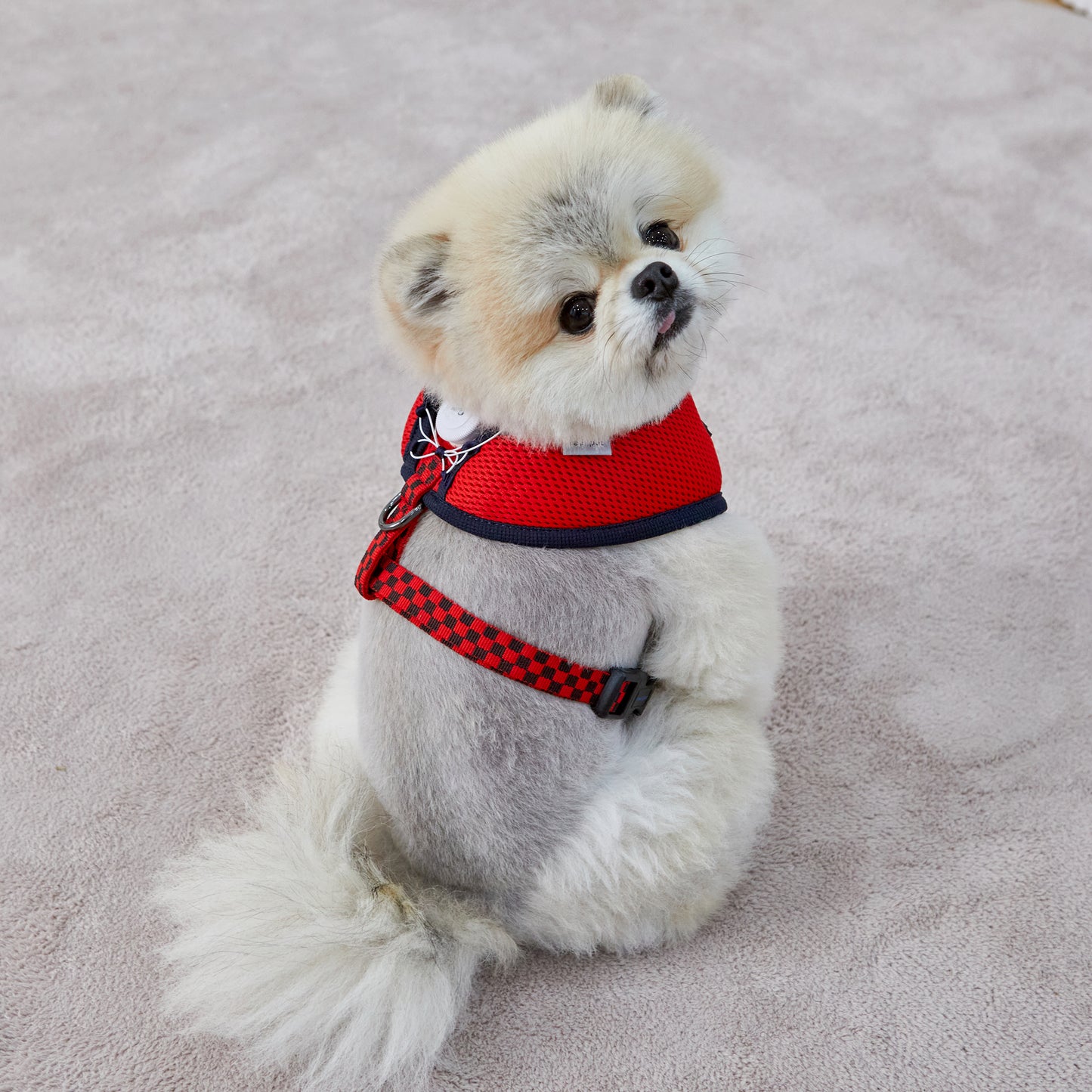 UNIQUE BOA HARNESS